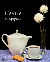 /album/producto/dsc1715-7marca-jpg/